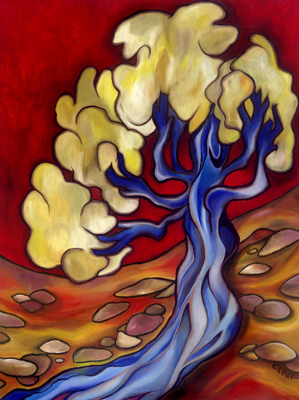 The Out Of Place Olive Tree