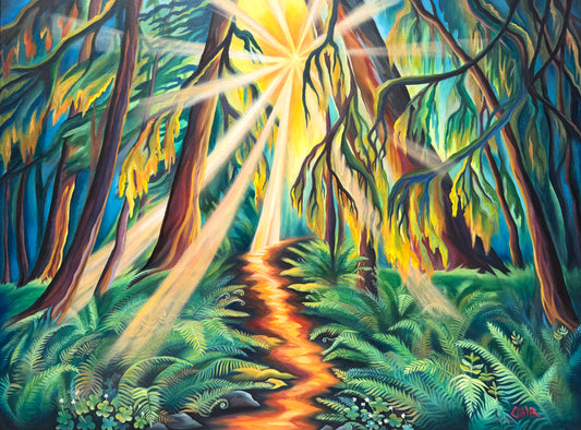 Enchanted Forest of Light