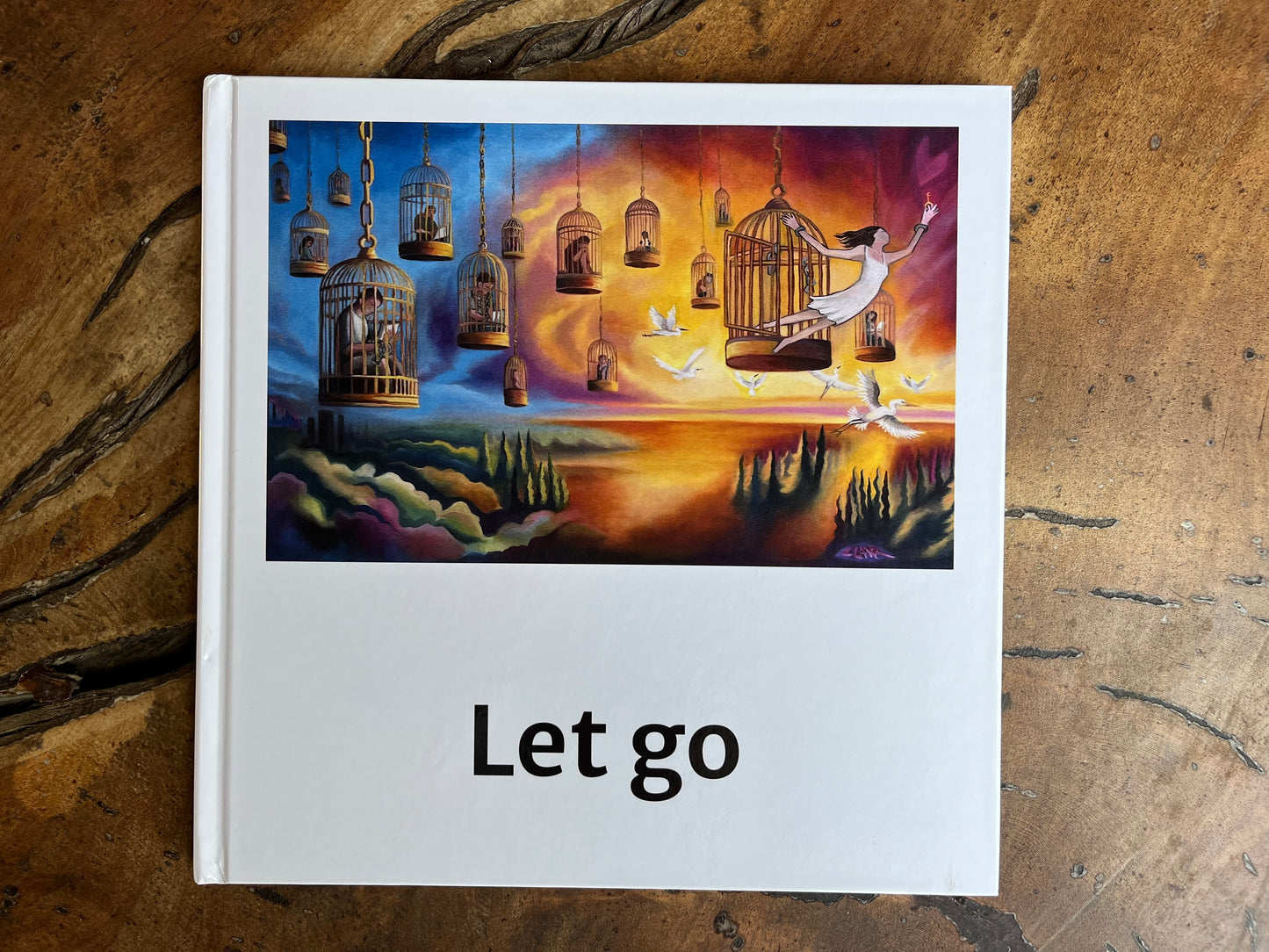 Book " Let Go"